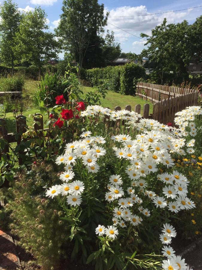 Bed and Breakfast Slades Farm Edington  Zewnętrze zdjęcie